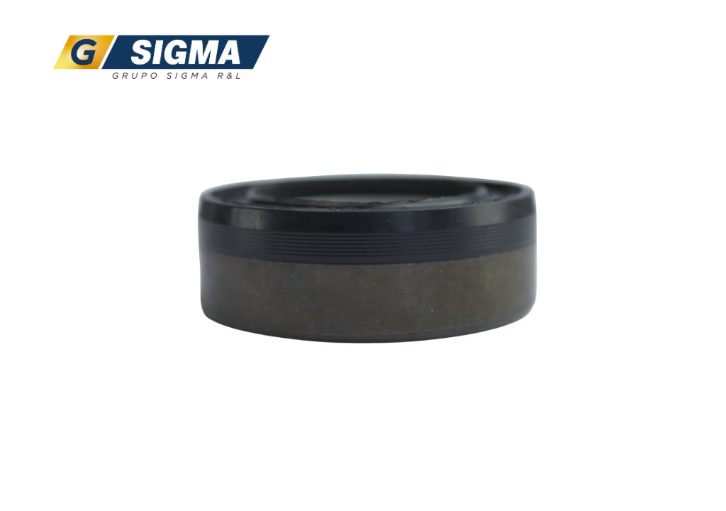 RETEN LADO EJE (426075)  4431364